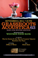 GrassRoots Acoustica 19