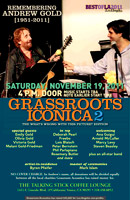 GrassRoots Acoustica 19