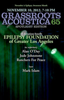 GrassRoots Acoustica 19