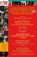 GrassRoots Acoustica 20