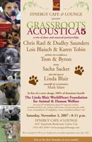 Grassroots Acoustica 5